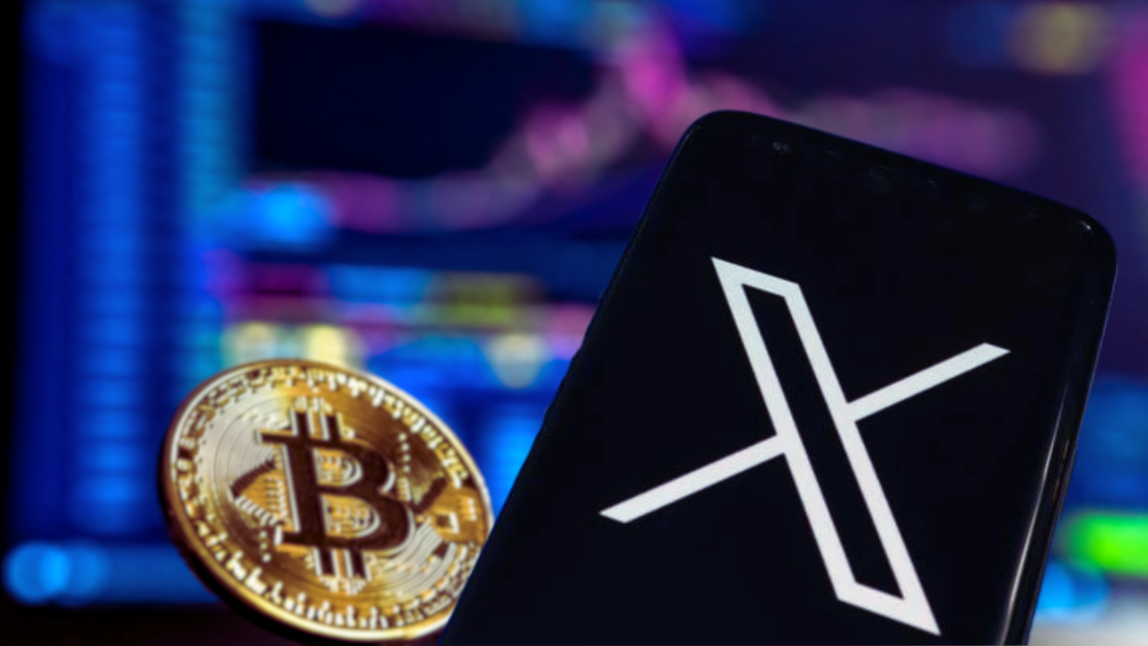 X Uncovers Bribery Ring Behind Crypto Scams